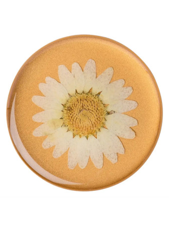 detail PopSockets PopGrip Gen.2, Pressed Flower White Daisy, bílý kvítek v pryskyřici