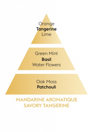 detail Maison Berger Paris BOUQUET - SAVORY TANGERINE, aroma difuzér 80 ml