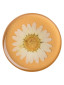 náhled PopSockets PopGrip Gen.2, Pressed Flower White Daisy, bílý kvítek v pryskyřici