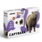 náhled Cartonic 3D PUZZLE - CAPYBARA, 56 dílků, LEVEL2